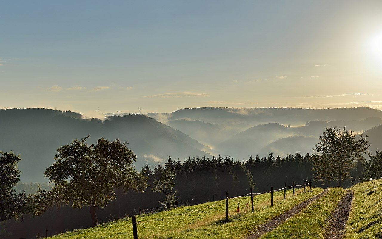 Misty fir-clad valleys of the Black Forest at sunrise